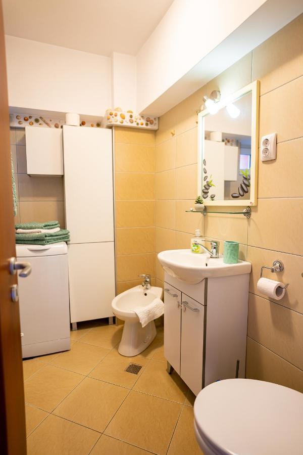 Appartement Metropolitan Wildscape View à Braşov Extérieur photo
